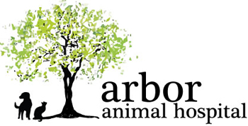 Arbor Animal Hospital